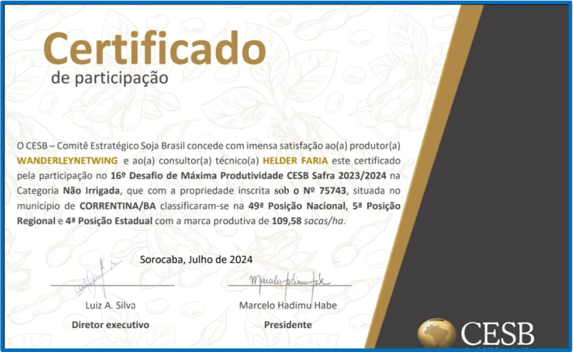 23.24 - Wanderley Netwing 109 BA