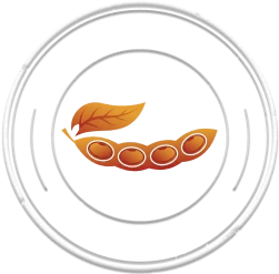 logo do evento para colher mais soja